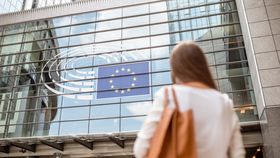 VIDEO Diana Șoșoacă, scoasă cu forța din Parlamentul European. Ursula von der Leyen a obținut un nou mandat de cinci ani în fruntea Comisiei Europene